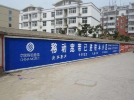 盐津如何打造能够“让人记住”的广告