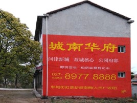盐津百分之90的人都不了解的农村墙体广告