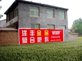 盐津如何让墙体广告展现最大化效果