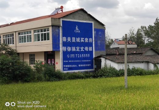 盐津决定墙体广告价格的因素有哪些?