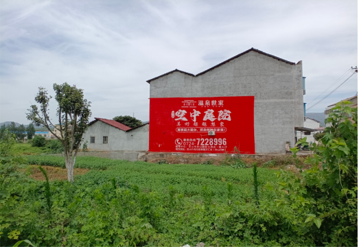 盐津做墙体广告的意义